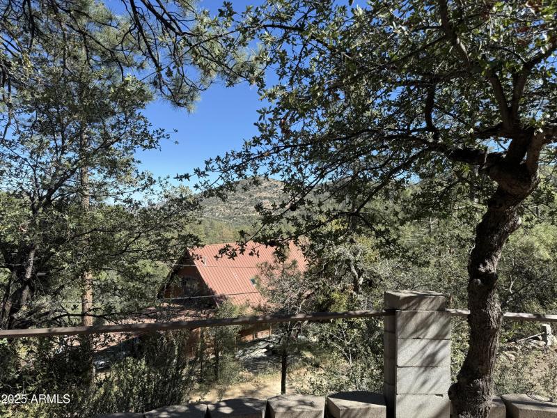 Views from the patio