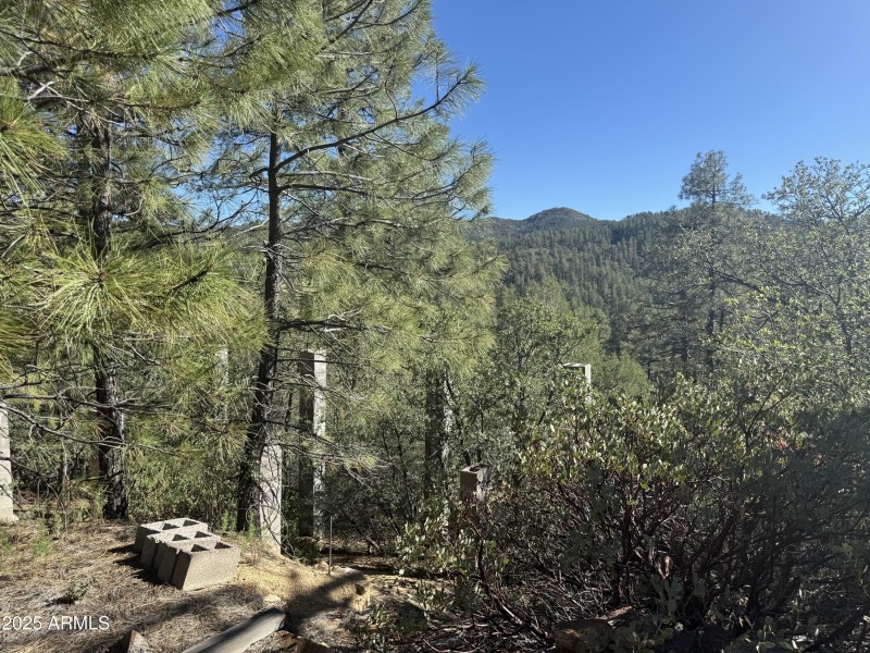 Views from building area