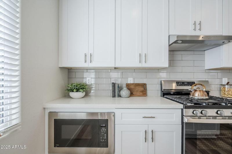 23-web-or-mls-Vine-23