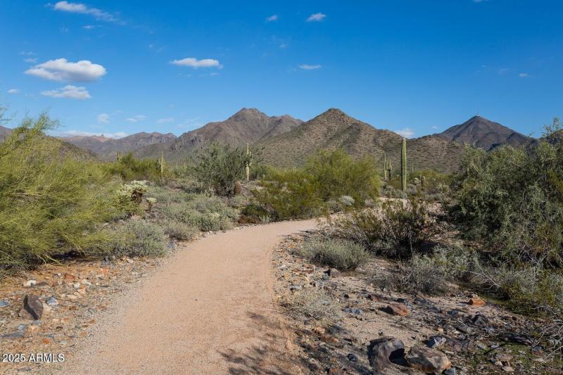 20250113162114983202000000-o