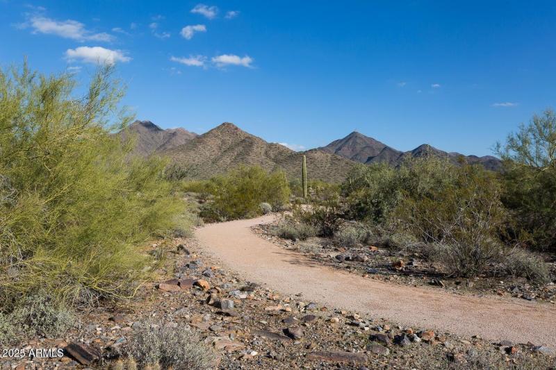 20250113162116256132000000-o