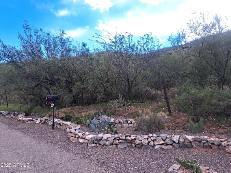 556624400_25062376076730359_124536143684