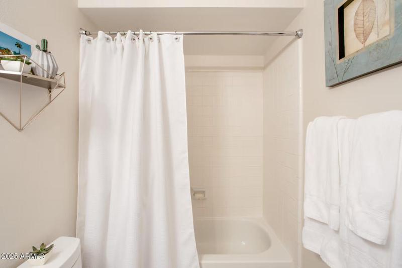 Guest Bathtub & Shower