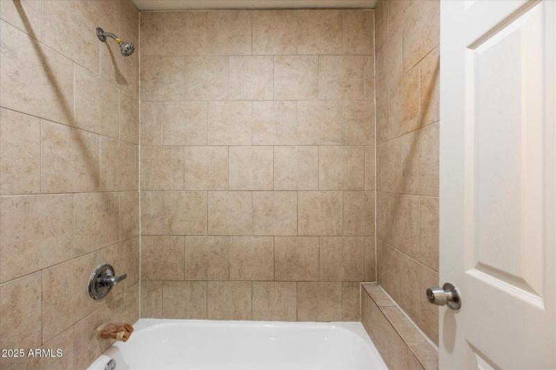 Primary Bath Shower Tub