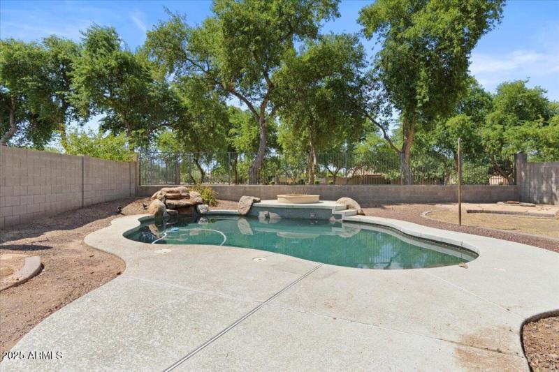 41-Back yard & pool