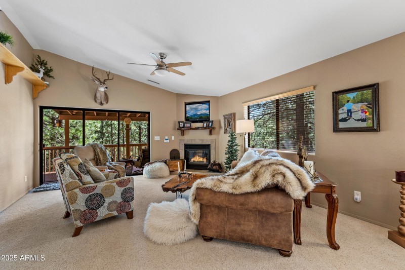 1265 E Cougar, Munds Park-17