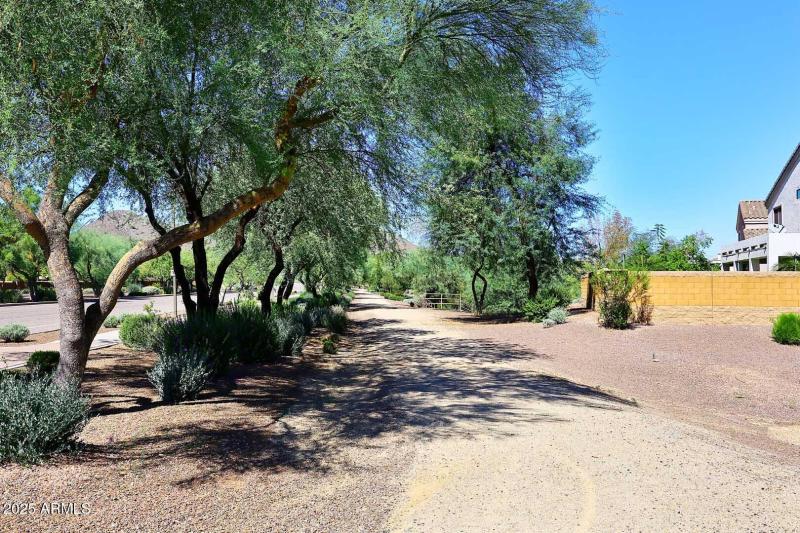 Desert Peak-Walking Path