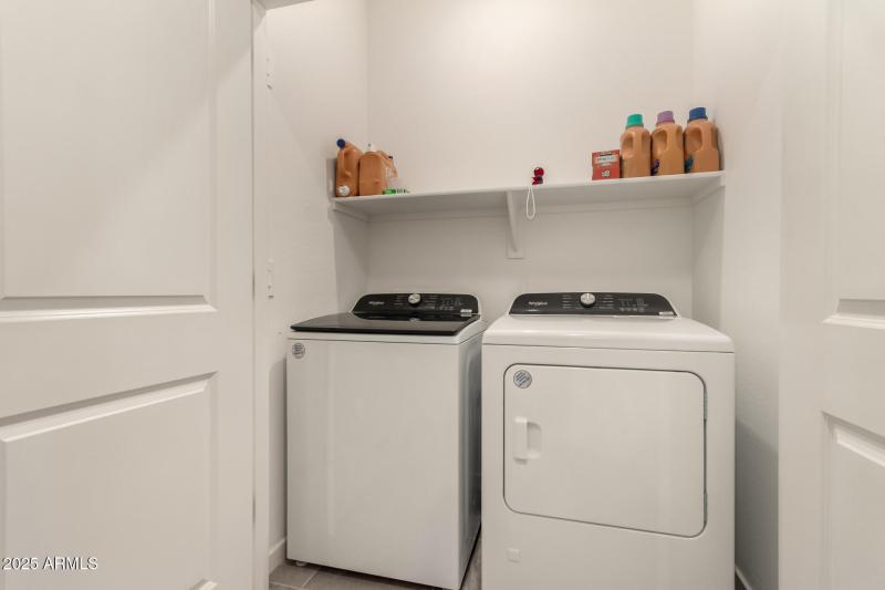 30 - Hayden Rose 3022