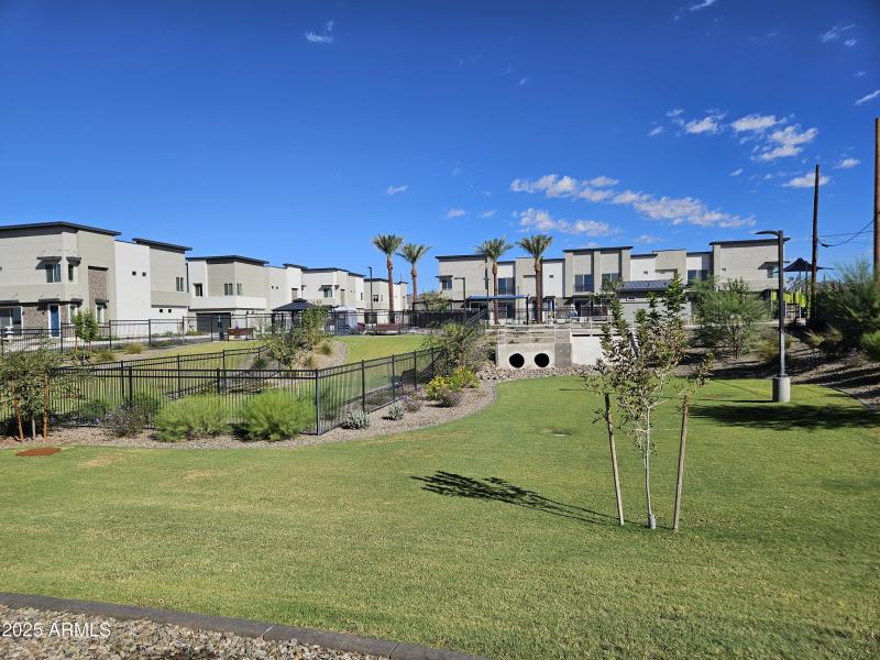 20251003_162920848_iOS