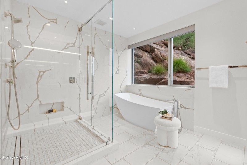 Primary bath and shower