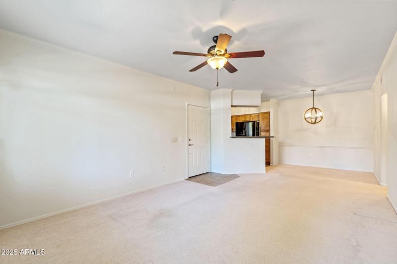 16-web-or-mls-DSC_5016