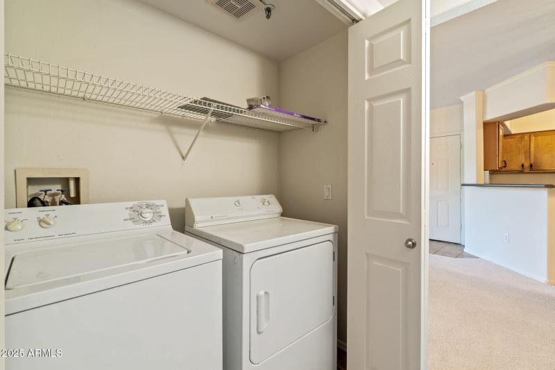 29-web-or-mls-DSC_5029