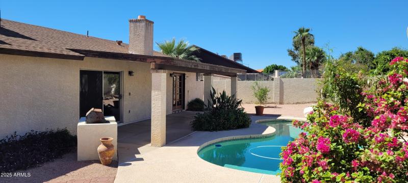 Amazing backyard with a beautiful pool