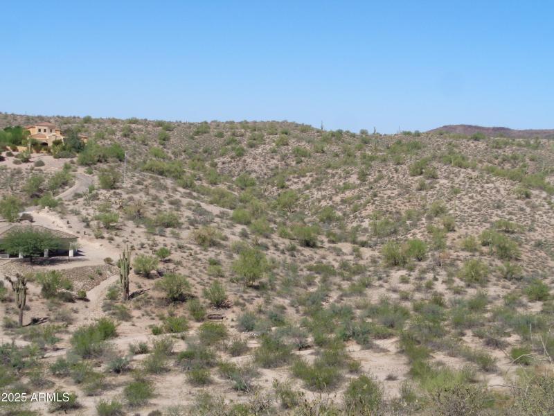 Distant View