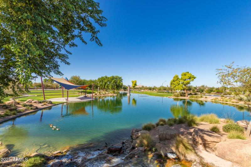 Anthem at Merrill Ranch 18