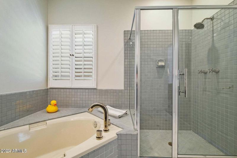 Separate Shower and Tub