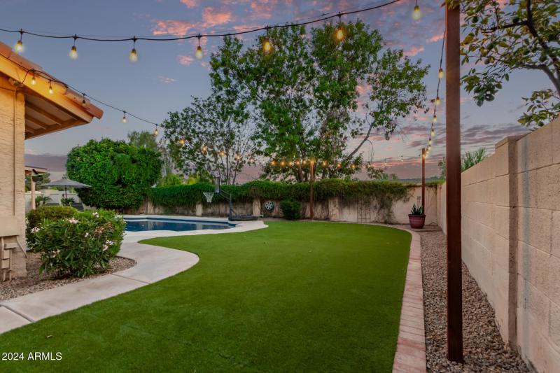 0046-46 Tamarisk 2555