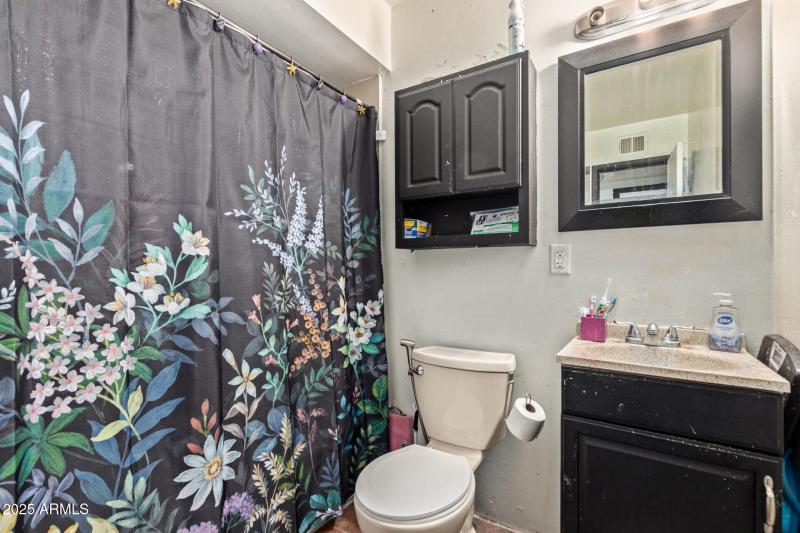 Hall Bathroom