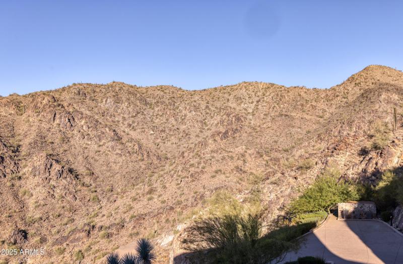 Saguaros on the Mountain