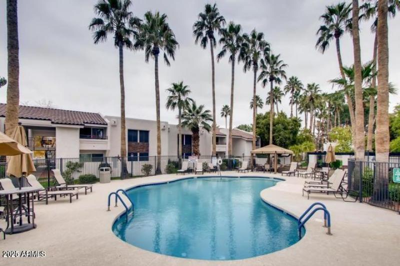 pool 2 - 7350 N. Via Paseo Del Sur