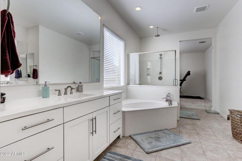 22533 N 93rd drive master bathroom