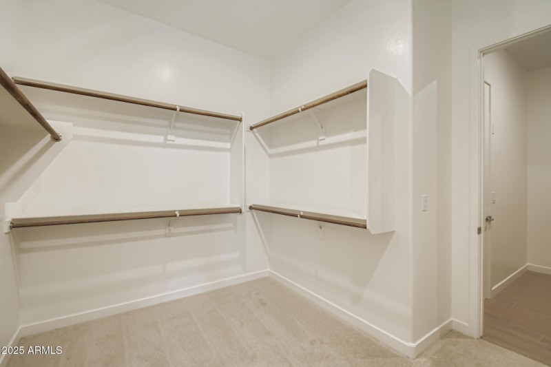 Owners Walk in Closet