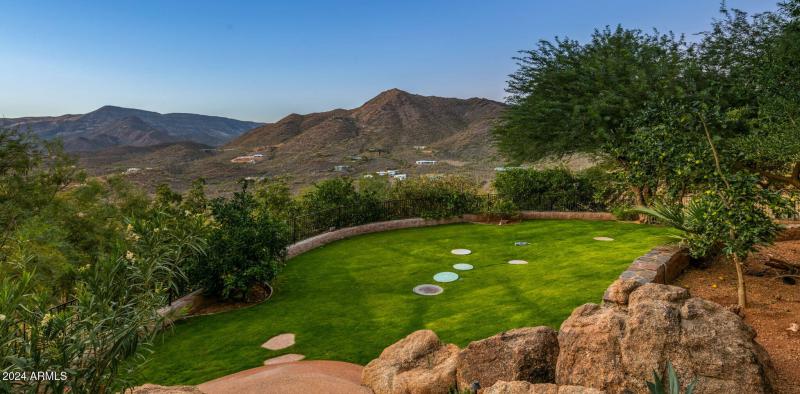 Expansive Grass Yard