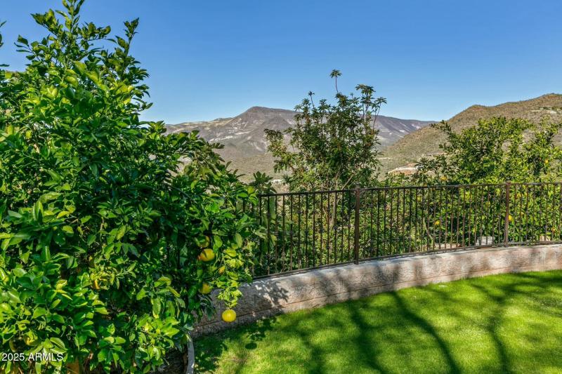 Citrus Garden Continued