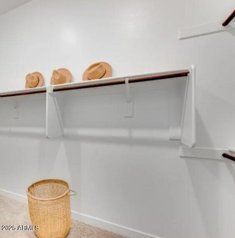 Owners Walk in Closet 2