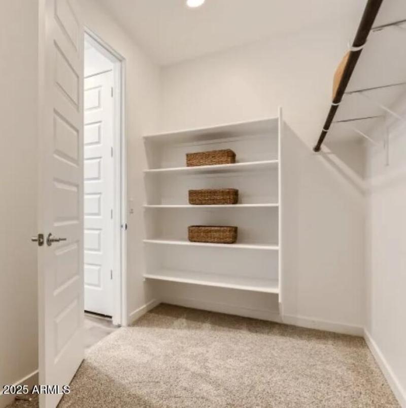 Owners Walk in Closet