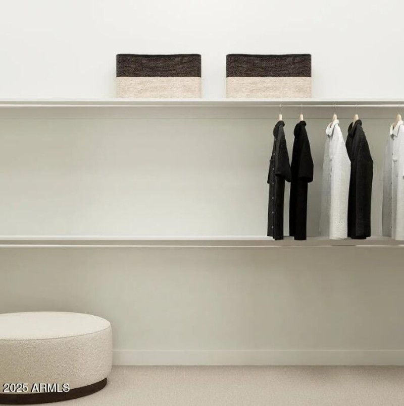 Owners Walk in Closet