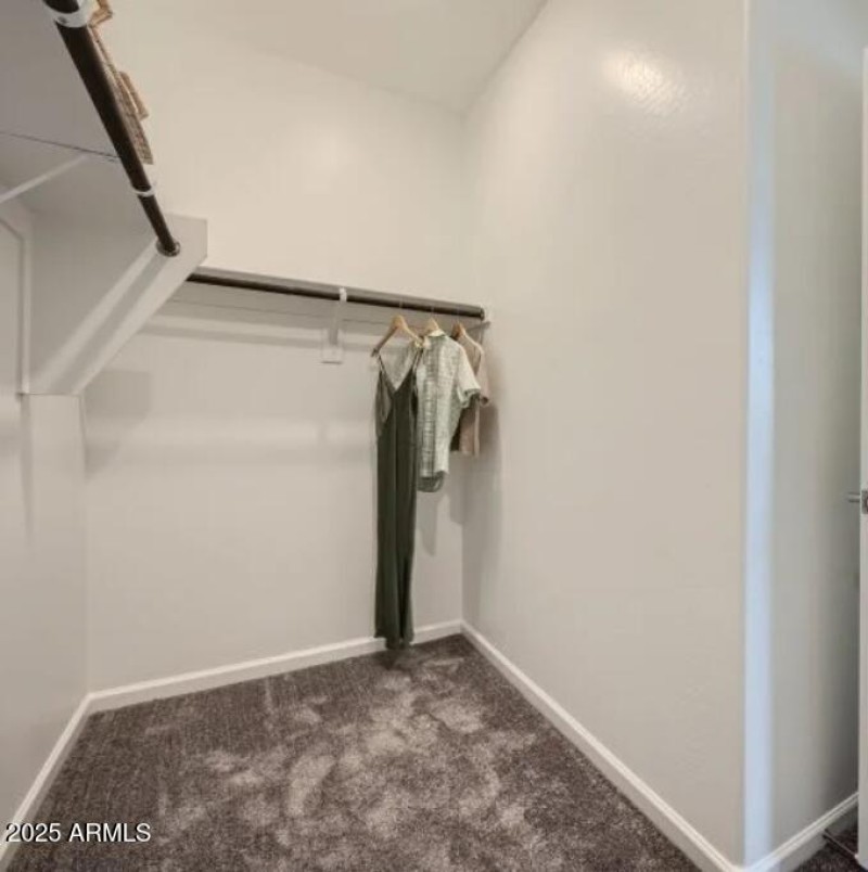 Owners Walk in Closet