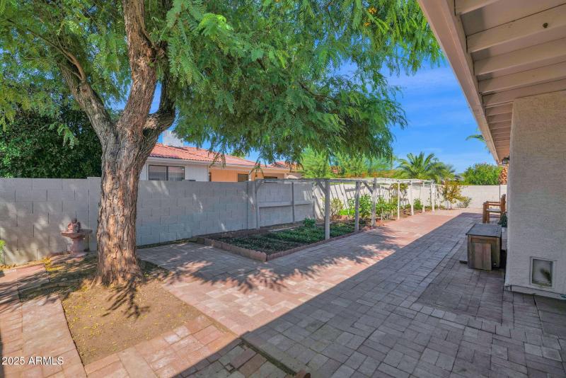 48-web-or-mls-P1315689