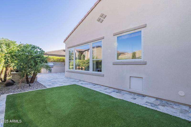 Turf grass in the backyard