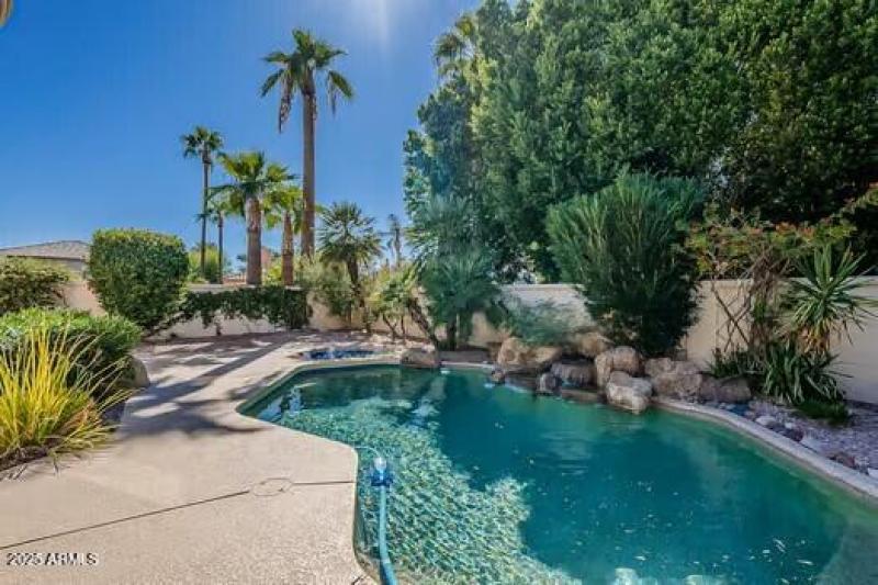 Sparkling Pool & Spa