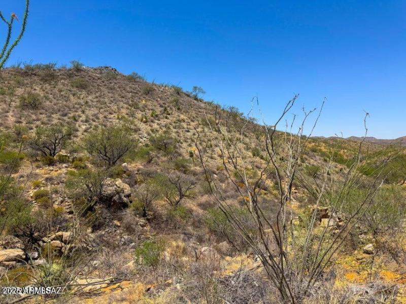 20251008062358520190000000-o