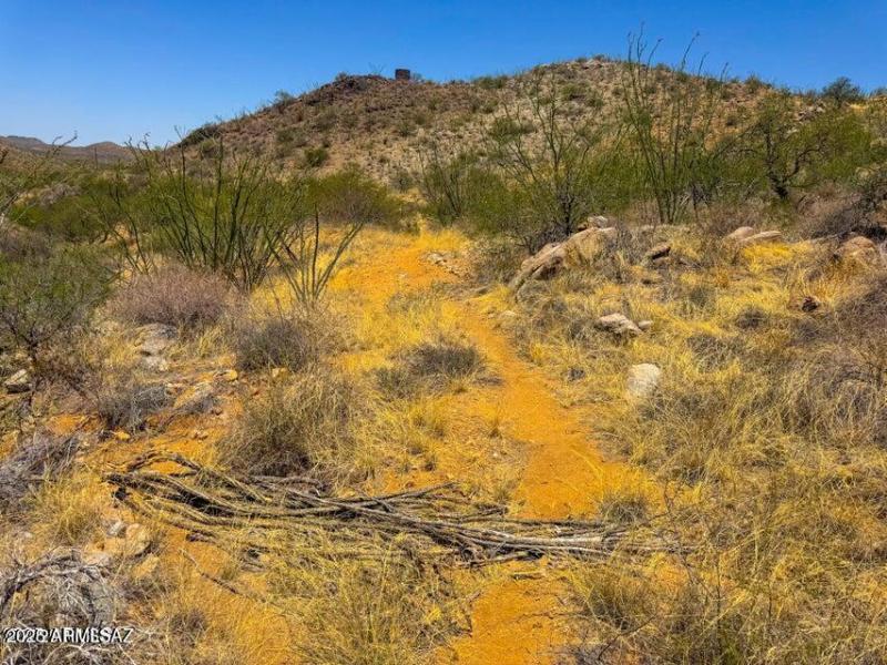 20251008062442627790000000-o