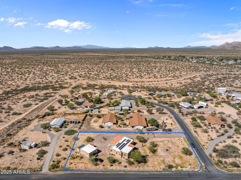 3-web-or-mls-staghorn final