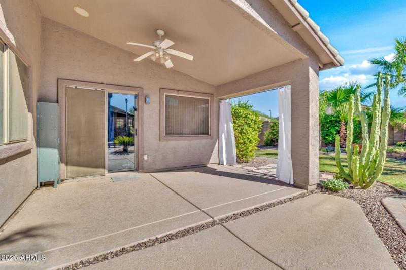 30178 N Coral Bean Dr-39