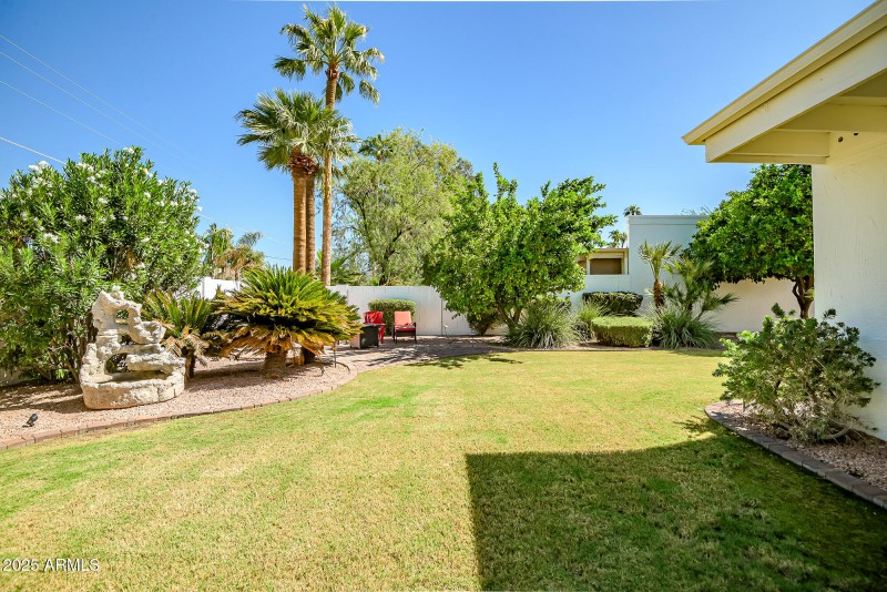 Great sized backyard