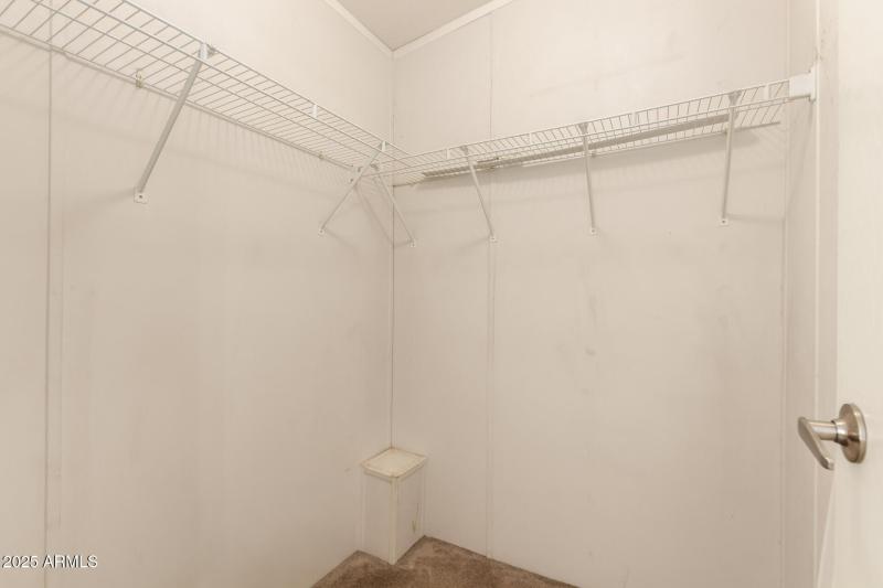 38 - Montanoso 22615