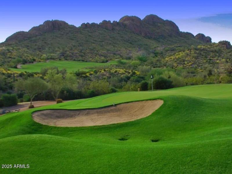 Relax while you Golf!!