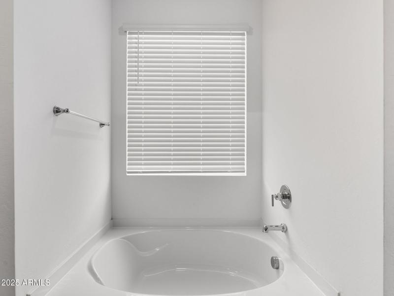 25-web-or-mls-Bee-25