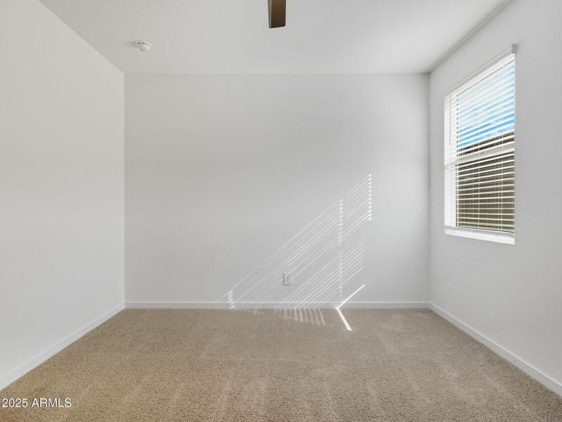 33-web-or-mls-Bee-33