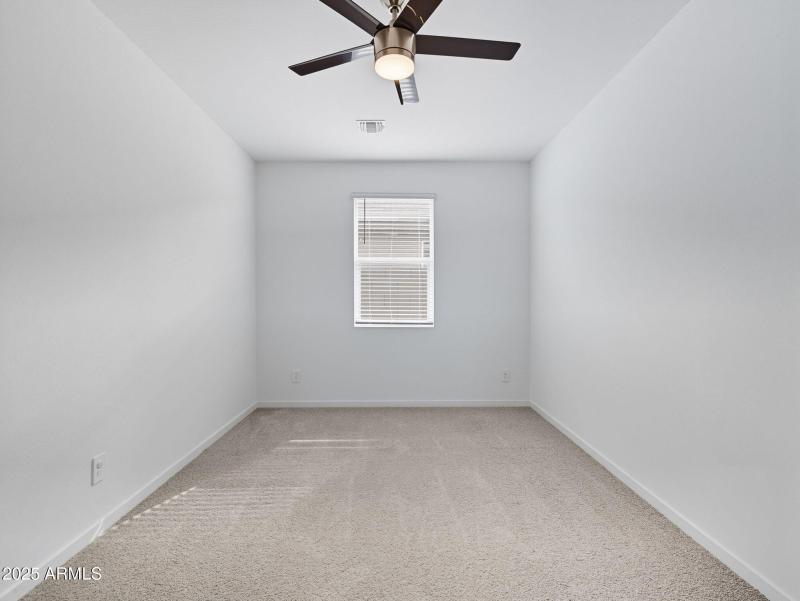 41-web-or-mls-Bee-41