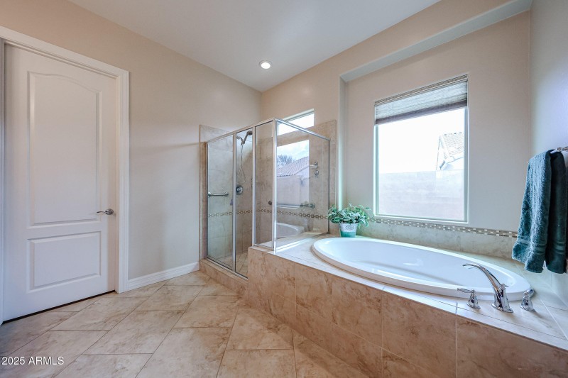 Soaking Tub and Separate Shower