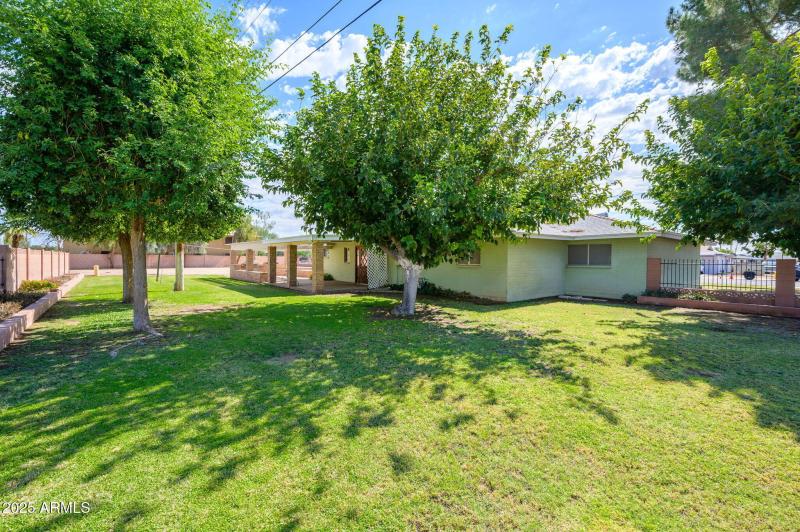 30-web-or-mls-Palmaire-30