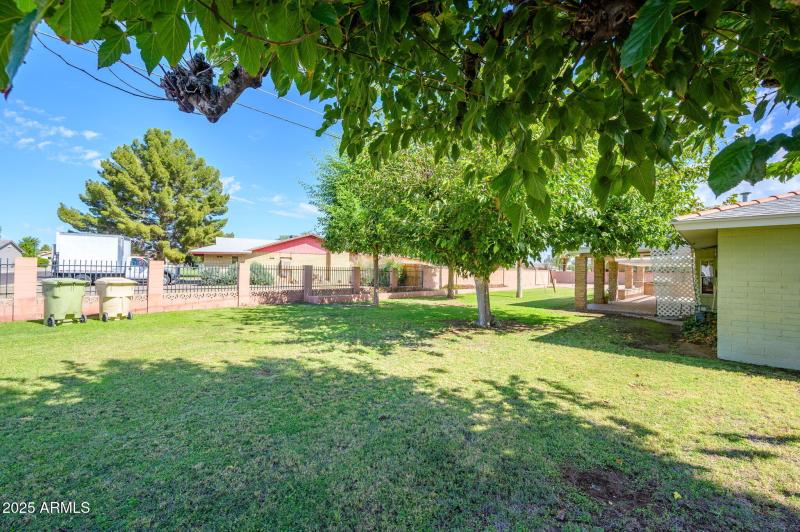 32-web-or-mls-Palmaire-32