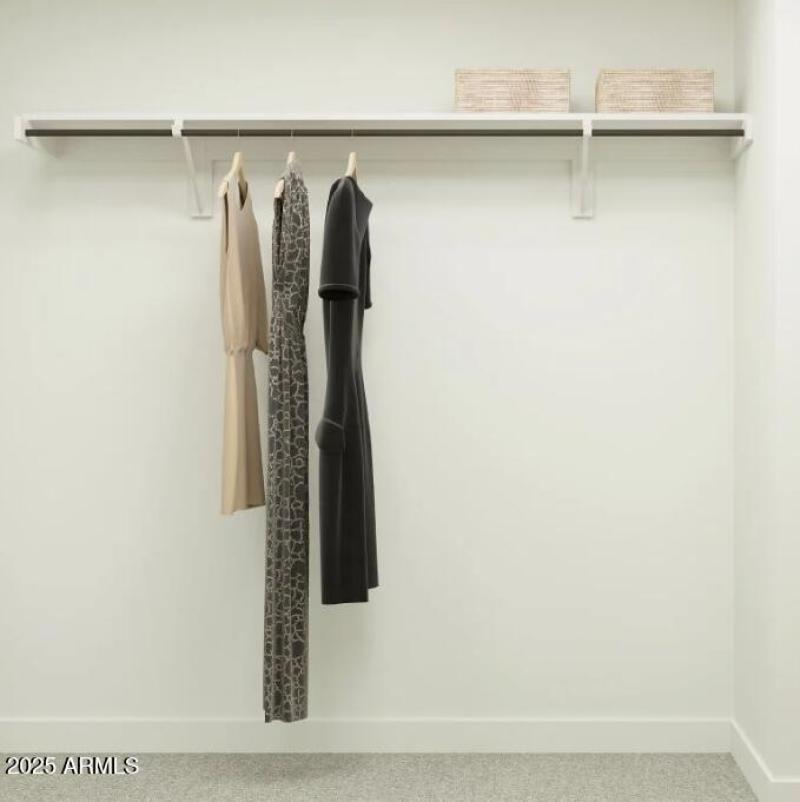 Owner's Walk in Closet