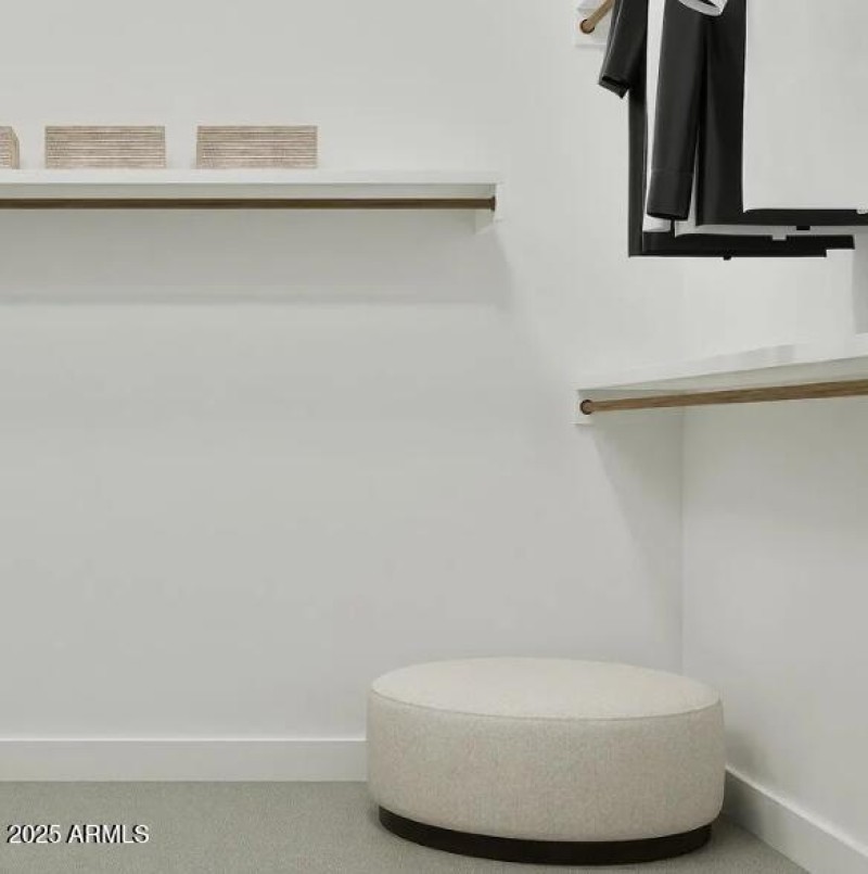 Owners Walk in Closet